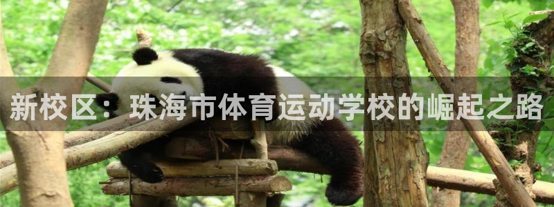 米兰体育官网下载招商电话号码是多少号:新校区:珠海市体育运动