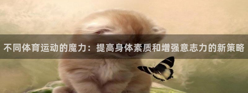 米兰体育官方正版app娱乐40996:不同体育运动的魔力:提