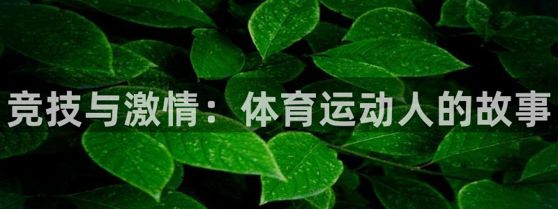 米兰体育官网下载招商:竞技与激情:体育运动人的故事