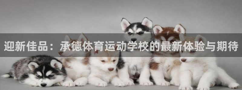 米兰体育官网下载是干嘛的公司:迎新佳品:承德体育运动学校的最